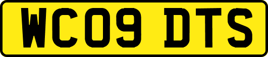 WC09DTS