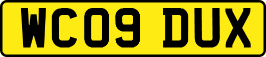 WC09DUX