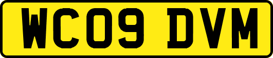 WC09DVM