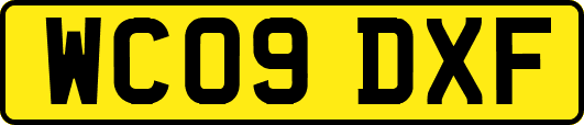 WC09DXF