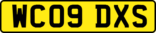 WC09DXS