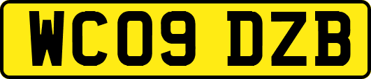 WC09DZB