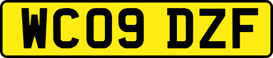 WC09DZF