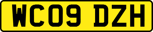 WC09DZH