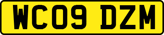 WC09DZM