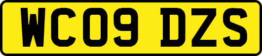 WC09DZS