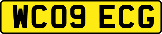WC09ECG