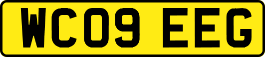 WC09EEG