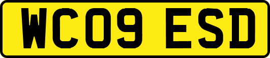 WC09ESD