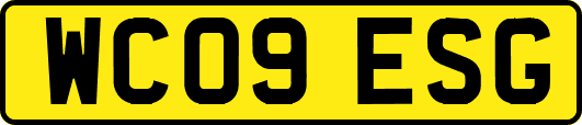 WC09ESG