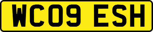 WC09ESH