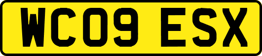 WC09ESX