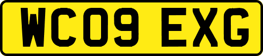 WC09EXG