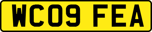 WC09FEA