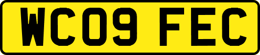 WC09FEC