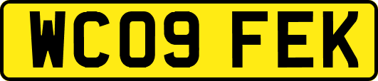 WC09FEK
