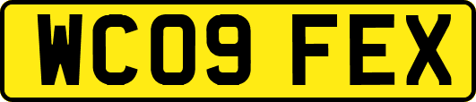 WC09FEX
