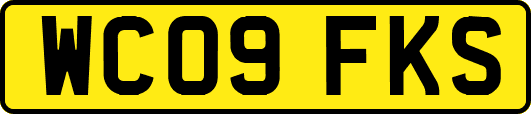 WC09FKS