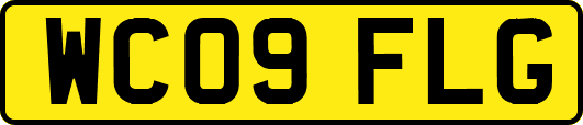 WC09FLG