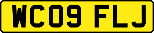WC09FLJ