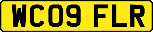 WC09FLR