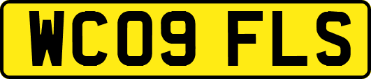 WC09FLS