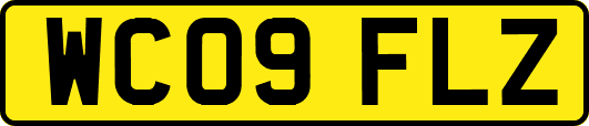 WC09FLZ