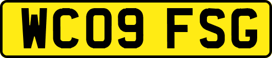 WC09FSG