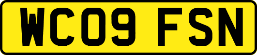 WC09FSN