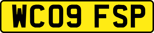 WC09FSP