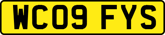 WC09FYS