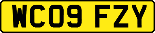 WC09FZY