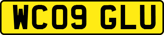 WC09GLU