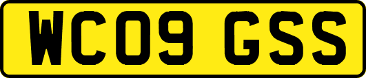 WC09GSS