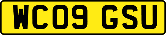 WC09GSU