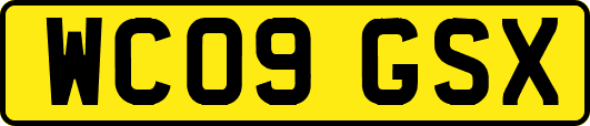 WC09GSX