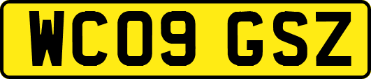 WC09GSZ
