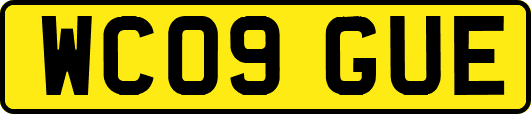 WC09GUE