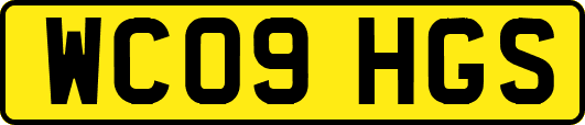 WC09HGS