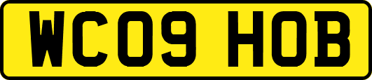WC09HOB
