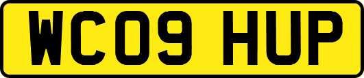 WC09HUP