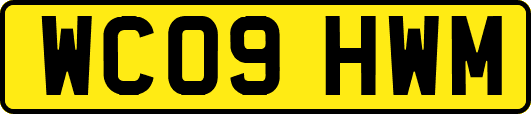 WC09HWM