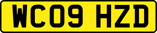WC09HZD