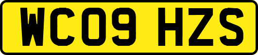 WC09HZS