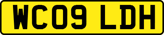 WC09LDH