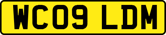 WC09LDM