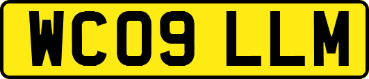 WC09LLM