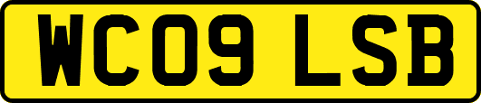 WC09LSB
