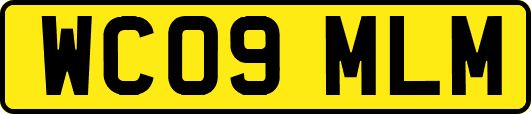 WC09MLM
