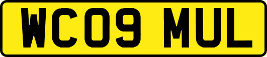 WC09MUL